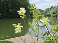 Saarbrücken, Juli 2019