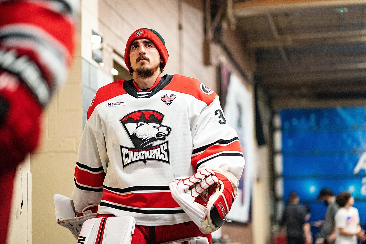 AHL - Charlotte Checkers Hockey Club goaltender Alex Nedeljkovic