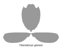 20210909 Radiodonta head sklerites Titanokorys gainesi.png
