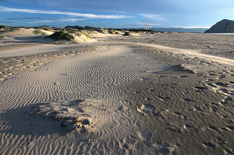 File:2b - MORRO STRAND (1) (31484425273).jpg