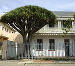 A magnificent cycad tree in the small garden between the house and the pavement enhances the setting. It has been declared a National Monument. Architectural style: Victorian semi-detached townhouse with Regency style veranda. Type of site: House. These double-storeyed semi-detached houses with their Victorian and Georgian features were erected shortly after the turn of the century. These in Donkin Street, situated opposite the Donkin Reserve, form part of a unique row of terrace houses in the Vict[clarification needed]