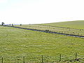 Northern end of the avenue, from the henge bank.