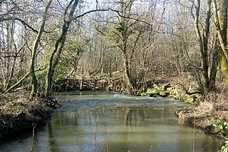 <span class="mw-page-title-main">River Wolf</span> River in west Devon, England