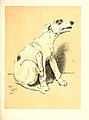 A dog day; or, The angel in the house (1902) (14593191480).jpg