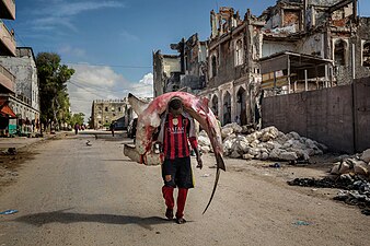 "A_man_carries_a_huge_hammerhead_through_the_streets_of_Mogadishu.jpg" by User:The Photographer