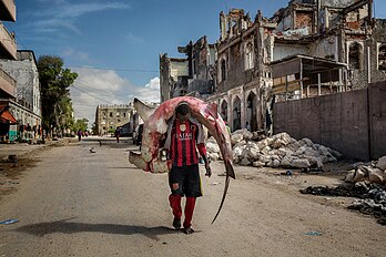 Un homme portant sur son dos un requin-marteau, dans une rue de Mogadiscio, en Somalie. (définition réelle 5 000 × 3 333)