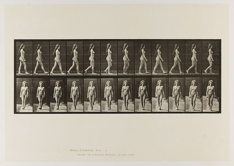 File:A naked woman walking. Collotype after Muybridge, 1887 Wellcome L0075736.jpg