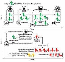 A schematic of app-based COVID-19 contact tracing (Fig. 4 from Ferretti et al. 2020).jpg