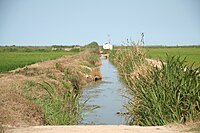 Acequia Albufera.jpg