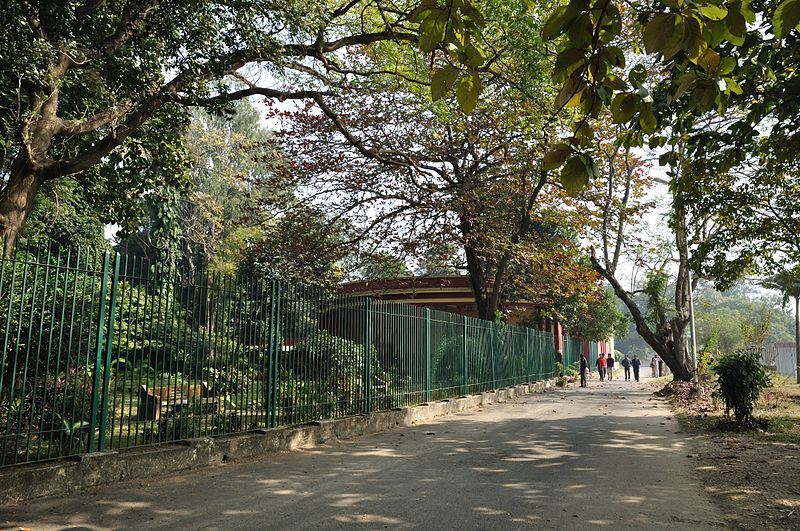 File:Acharya Jagadish Chandra Bose Indian Botanic Garden - Howrah 2011-01-08 9785.JPG