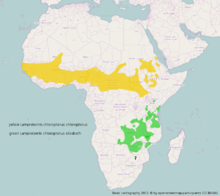 Afrika Verbreitungsgebiet-Ареал распространения Lamprotornis chloropterus.png