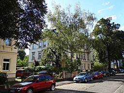 Alemannenstraße 26 und Augsburger Straße 40, Dresden (1169)