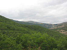 Fájl:Alty-Agaj_National_Park_3.JPG