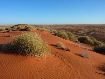 Dunes near Andado, Northern Territory, Australia