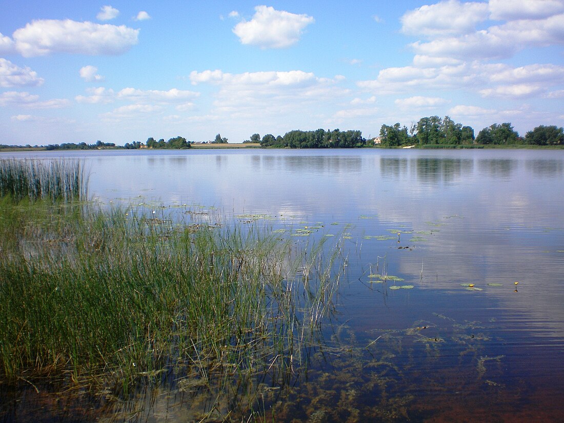 Angiriai Reservoir