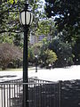 Lamp post in the Brisbane City Botanic Gardens.