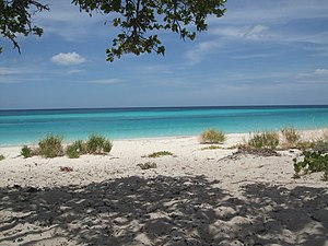 Sicht auf die Bucht.