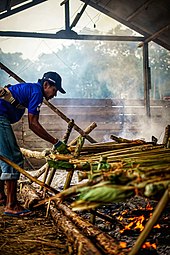 Cooking the lemang bamboo tubes. Bakar lemang.jpg