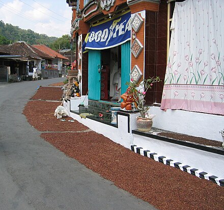 Cloves drying by the roadside in Munduk