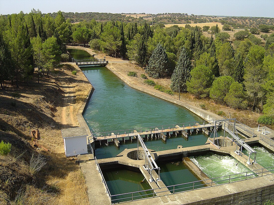 Ferreira do Alentejo