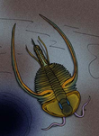 Life restoration of the Cambrian trilobite Biceratops Biceratops cropped.png