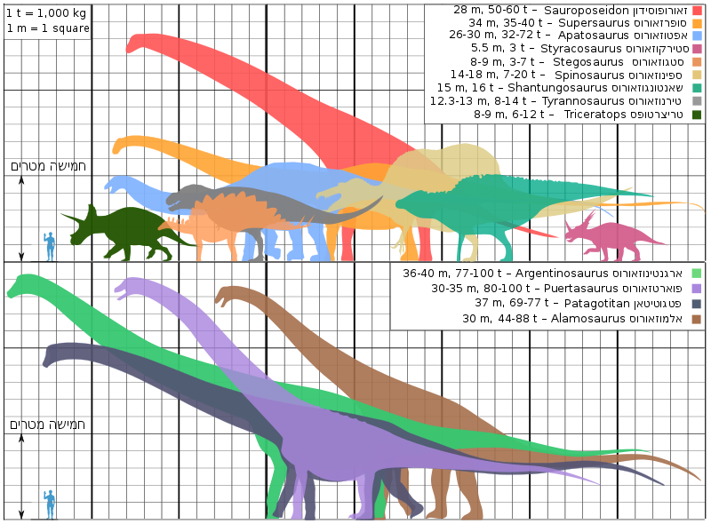 Biggest-Dinosaurs-ver18-he.svg