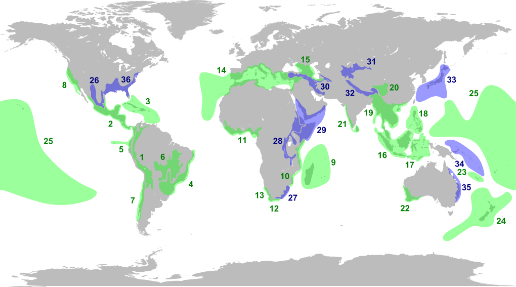 Biodiversity hotspots. Original proposal in green, and added regions in blue.[14]