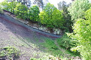 English: The Bodenmühlwand near Bayreuth, Germany Template:Das Geotop ''Bodenmühlwand'' (Referenz-Nr. 462A001) bei Wolfsbach, Bayreuth