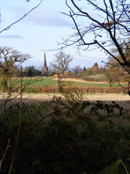 File:Brewood View - geograph.org.uk - 1600898.jpg