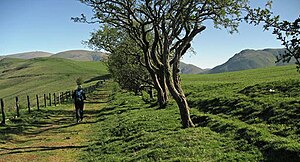 Heading north on the ancient bridle path to the Enterkin Pass with Lowther Hill on left edge, Pettylung (Durisdeer Hills) on right and the Dalveen Pass between them. Southern Uplands of Scotland. Bridle Path to Enterkin Pass.jpg