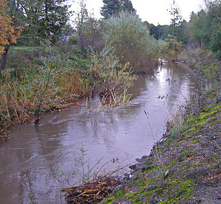 Brush Creek (Sonoma County, California) stream in Sonoma County, California