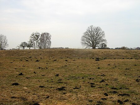 Burgwall Hühnerwinkel Hauptburg 19 03 2010 379