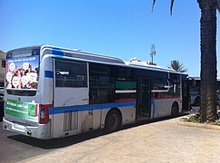 Ancien bus Stareo au terminus de Bab El Had.