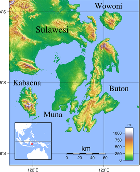 Les îles de Buton, Kabaena, Muna et Wawonii (Wowoni)