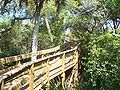 Boardwalk to top of mound