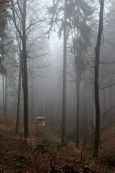 File:Cabin In The Woods (204174579).jpeg