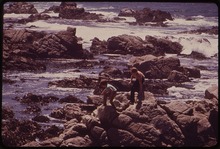 Carmel Beach California - Carmel Beach - NARA - 543492.tif