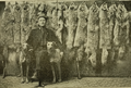 Wolfer canadien posant devant des fourrures de loups en 1909.