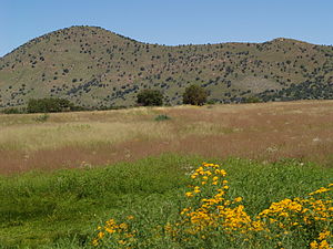 Canelo Hills ve Bullfrog Pond.jpg