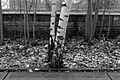 Cast-iron plate at Holocaust memorial place in Berlin-Grunewald.jpg