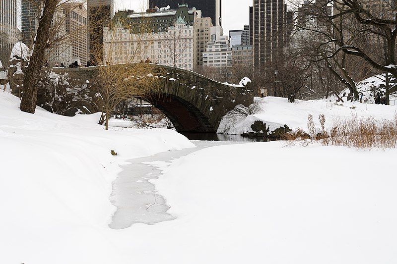 File:Central Park New York January 2016 006.jpg