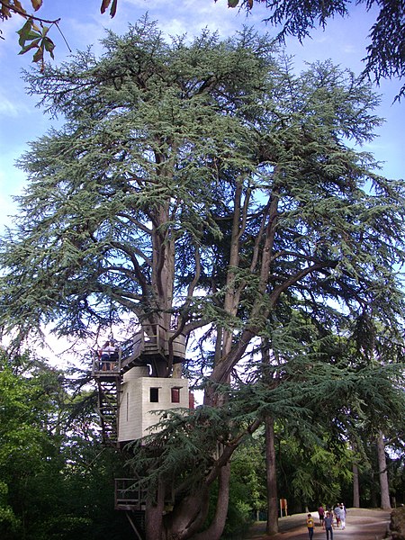 File:Château de Langeais - parc (09).jpg
