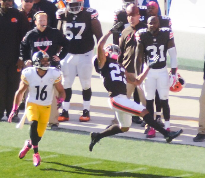 File:Cleveland Browns vs. Pittsburgh Steelers (15344172918).jpg