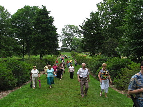 Tourists in the Arboretum