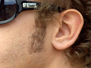 Cool glasses -Sideburns.jpg