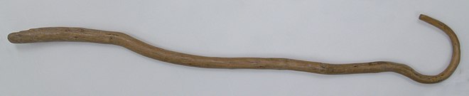 ancient shepherds staff