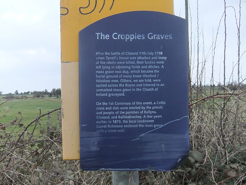 File:Croppies Grave Clonard (description) - panoramio.jpg