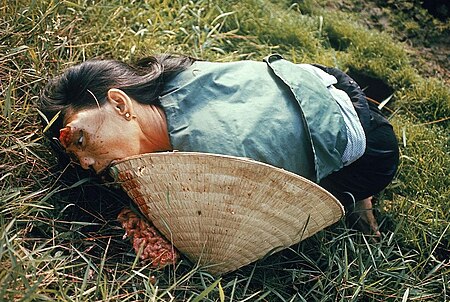 Tập_tin:Dead_woman_from_the_My_Lai_massacre.jpg