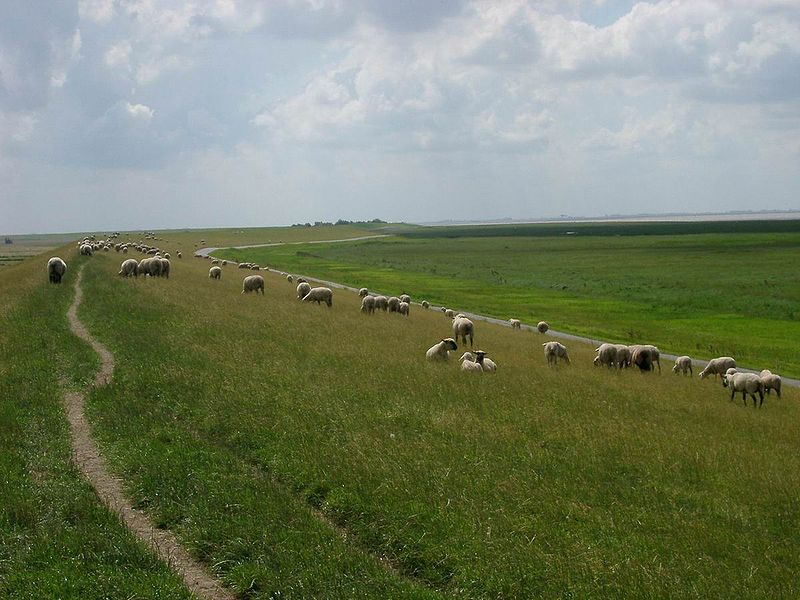 File:Deich am Leuchtturm Pilsum-18.07.07.JPG