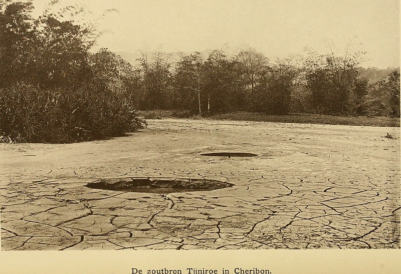 File:Description géologique de Java et Madoura (1896) (20843526886).jpg
